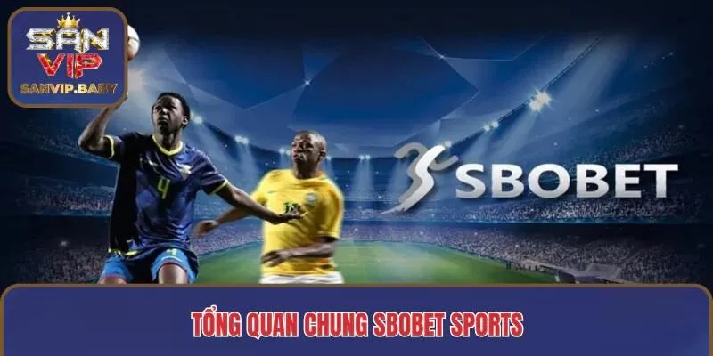 Tổng quan chung Sbobet Sports