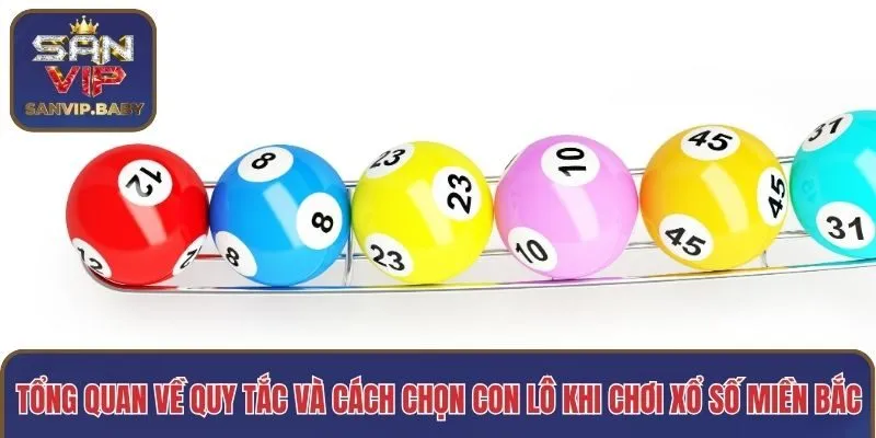Tổng quan về quy tắc và cách chọn con lô khi chơi xổ số miền Bắc